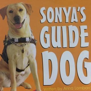 mc3 13sonyas guide dog