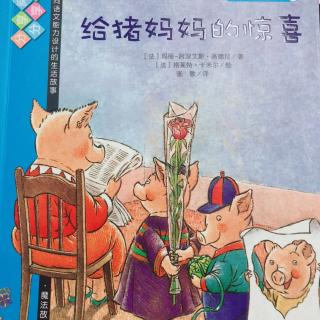 为小新哥哥读书~我爱阅读丛书66《给猪妈妈的惊喜》18.2.27