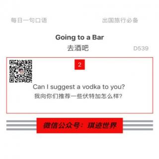 【旅行英语】去酒吧 ·D539: Can I suggest a vodka to you? 