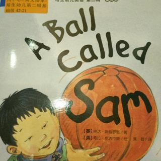 a ball called sam-amy he