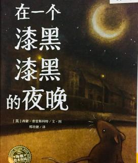 🍊小鑫哥哥的一百个故事🍊《🌌在一个漆黑漆黑的夜晚🐭》