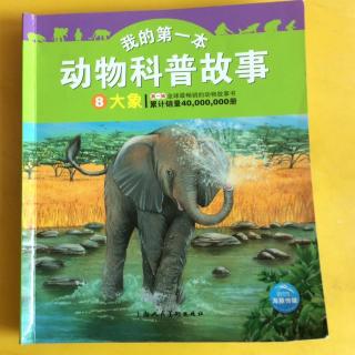 动物科普故事之《大象》