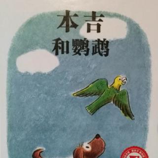 本吉和鹦鹉