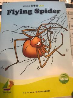 Flying Spider