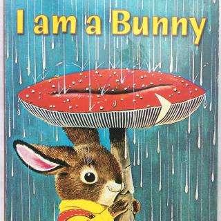 I am a bunny