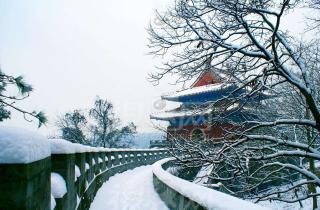 山中雪后_郑燮（清）