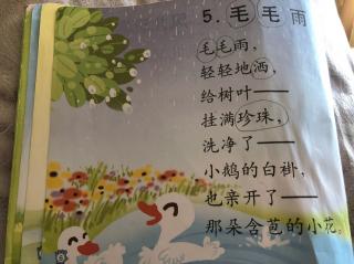 毛毛雨