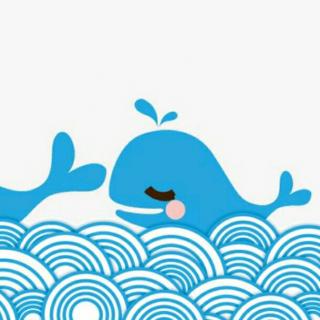 睡前故事:小海豚历险记
