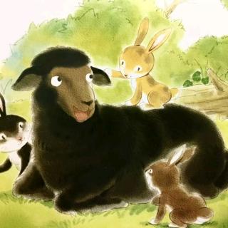 绘本故事---不开心的黑绵羊
