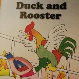 duck and rooster