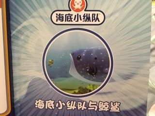 海底小纵队与鲸鲨