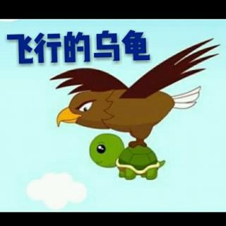 🎈飞行的乌龟🎈