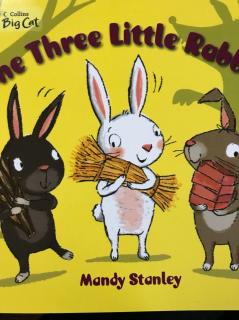 毛豆朗读～The Three Little Rabbits