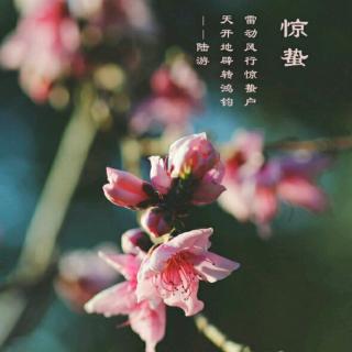 北京的春节