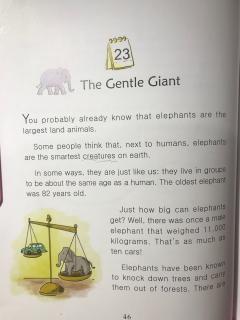 1-23 The gentle giant