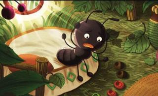 睡前故事：当小蚂蚁没有家的时候