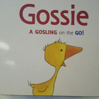 Gossie