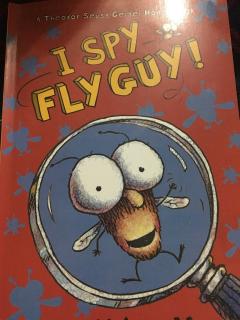 I spy fly guy