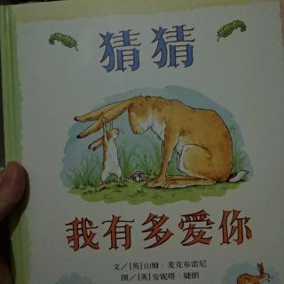 猜猜我有多爱你