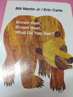 3Y3M 畅宝念brown bear