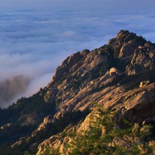 心当似高山不动