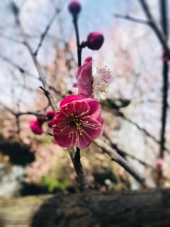 生命之书．五月八日