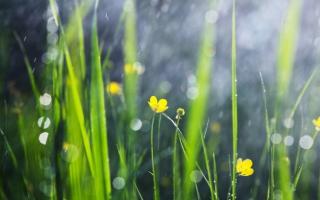 180307《春天的小雨滴滴滴》节选