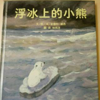 浮冰上的小熊11