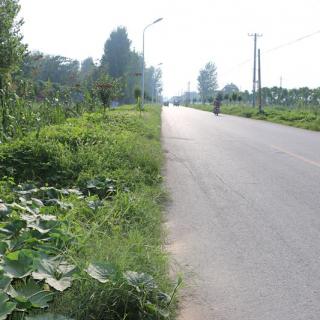 El condado Lankao saca frutos de la mejora del transporte
