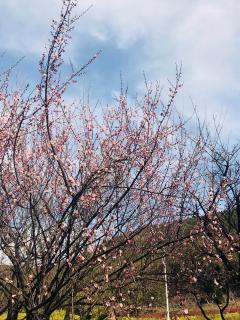 生命之书．五月九日