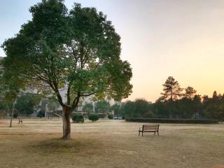 夜静藏情追思忆（沫梓）