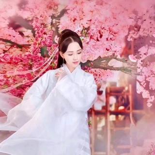 《三月的女人》作者：塘萍