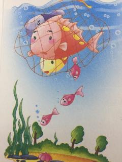 智慧幼儿园园长妈妈晚安🌙寓言故事54《大鱼和小雨》