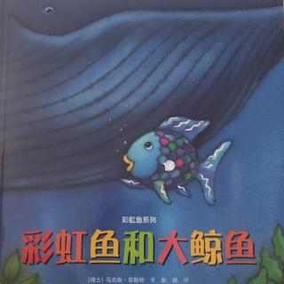 彩虹鱼🐠和大鲸鱼🐳