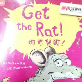 Get the rat-3月8日