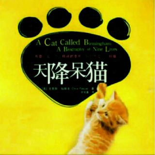 天降呆猫 09 (烟花之夜 节选)