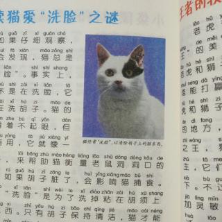 李昕妍《解读猫爱洗脸之谜》