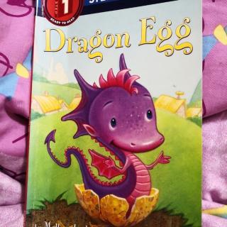 Dragon  Egg