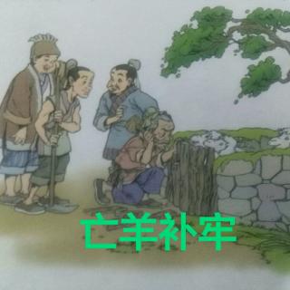 成语故事《亡羊补牢》--阿蕉老师讲故事