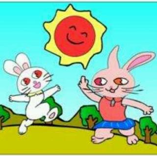 《小兔子🐰找太阳☀》