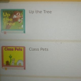 Day63:Class pets &Up  the tree
