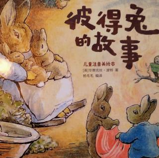 1）兔子彼得的故事