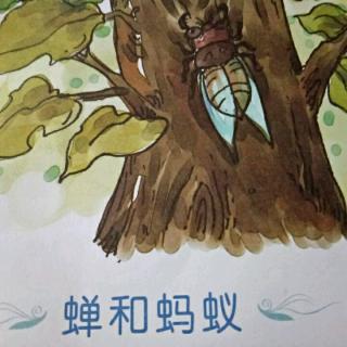 丹丹老师讲故事之《蝉和蚂蚁》