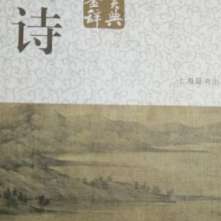 诗词赏析76：辛夷坞 王维