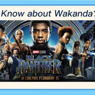 What do you know about wakanda？
