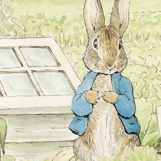 【爱丽丝读童书】彼得兔的故事