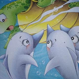 快乐小屋睡前故事《淘气的海豚》