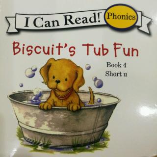 Book 4 Biscuit`s Tub Fun