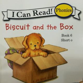 Book 6 Biscuit and the Box