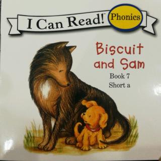 Book 7 Biscuit and Sam